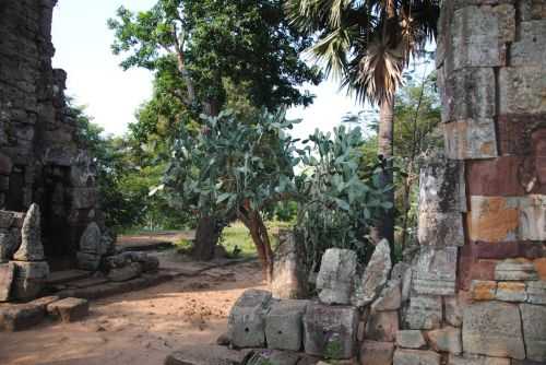 ANGKOR WAT HALF MARATHON 2013